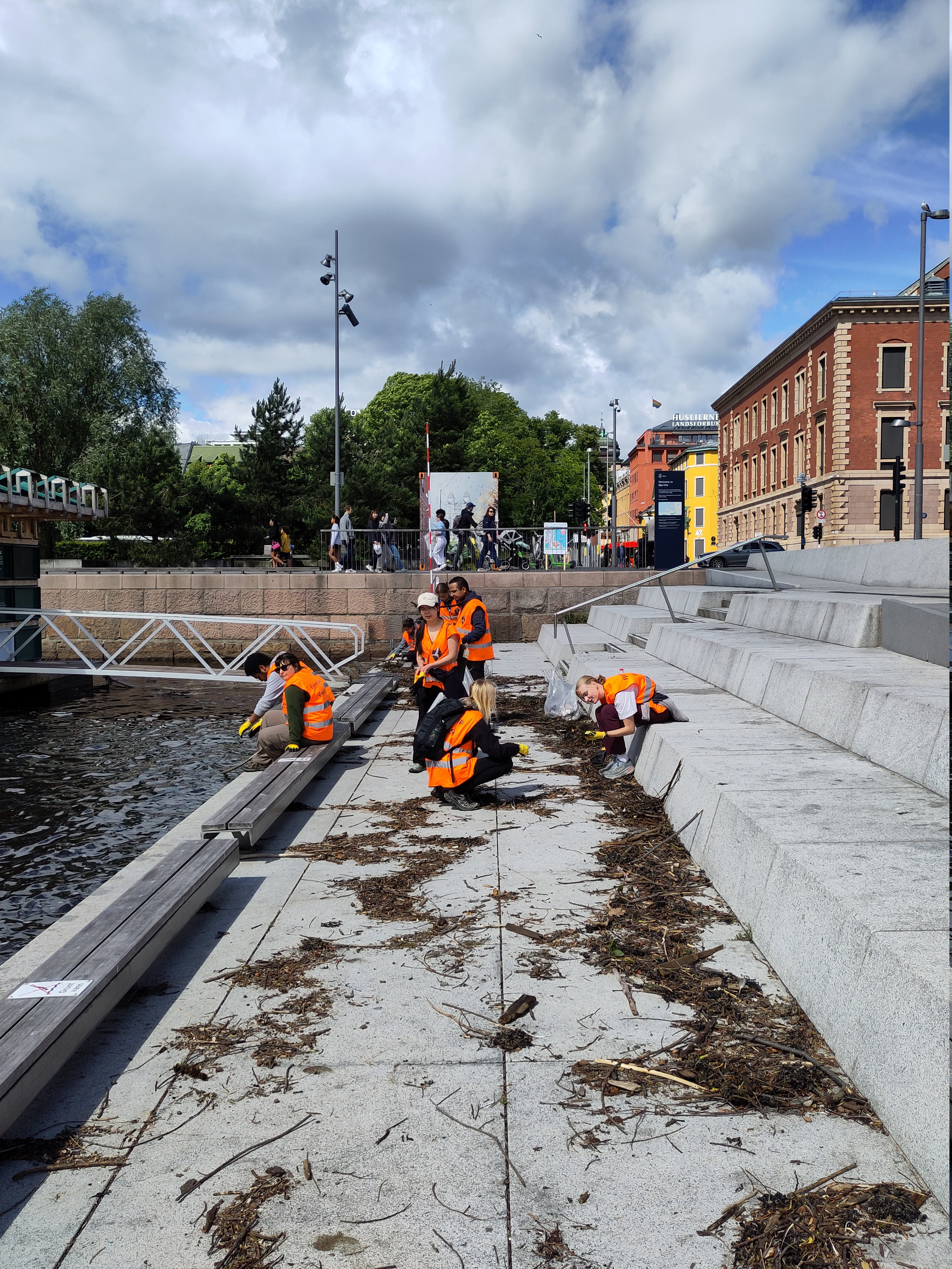 Fjord CleanUP