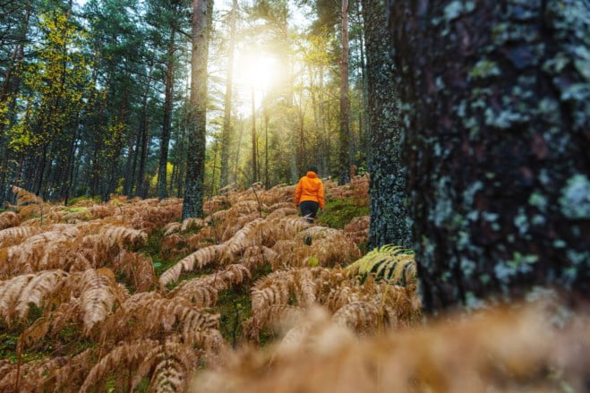 Person er ute og går i skogen. Foto